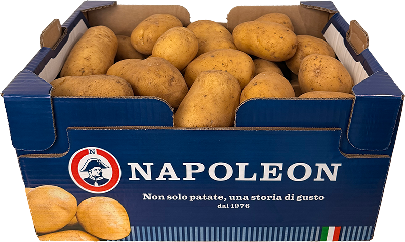 Patate in bauletto